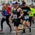 hastings-half